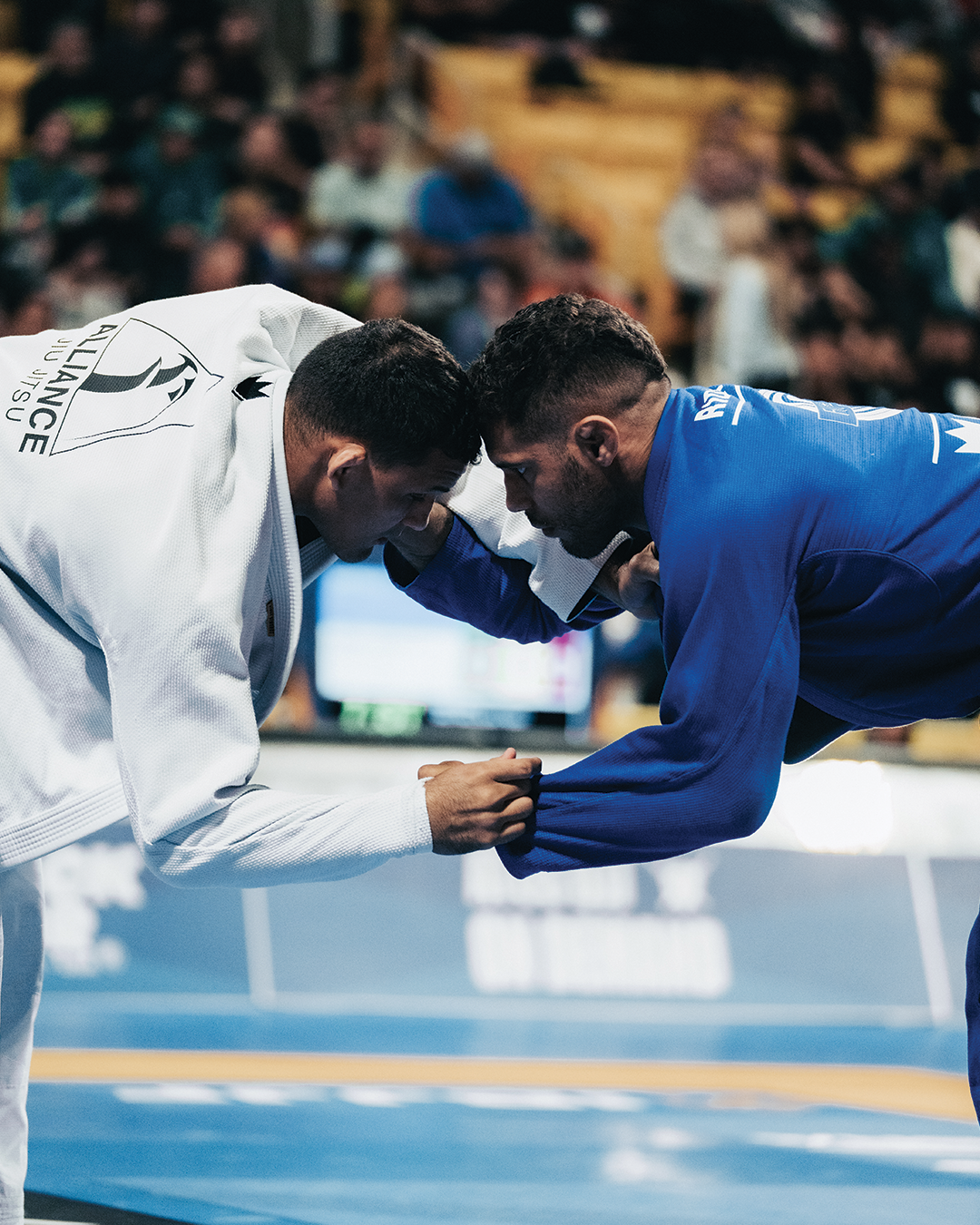 Kingz Kimonos BJJ Gear