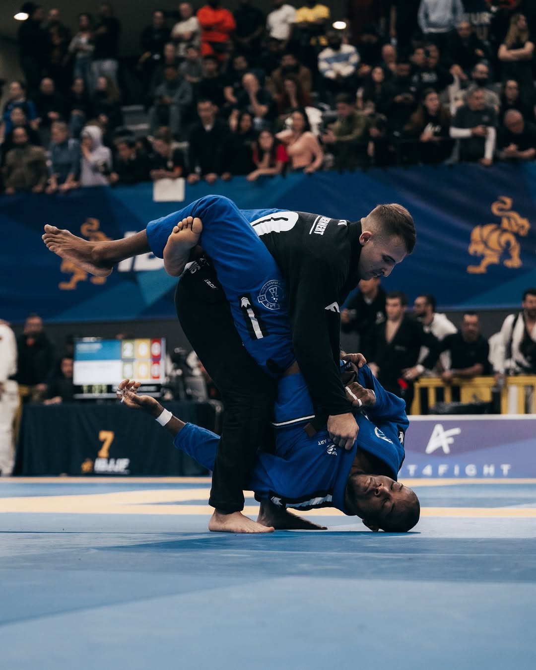 Kingz Kimonos BJJ Gear
