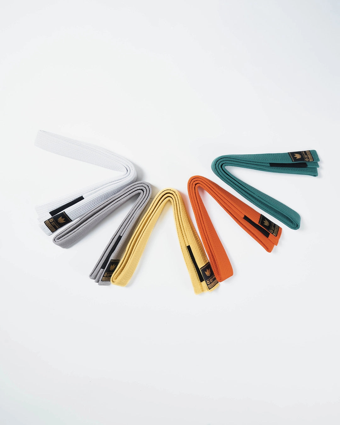Gold Label V2 Kids Belt - Solid Color
